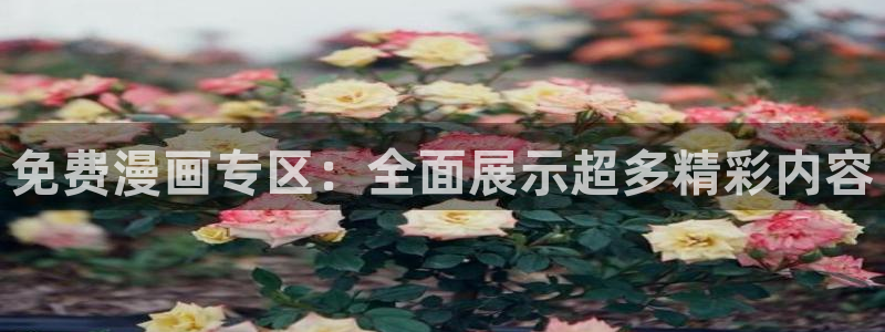 香蕉漫画免费看：免费漫画专区：全面展示超多精彩内容